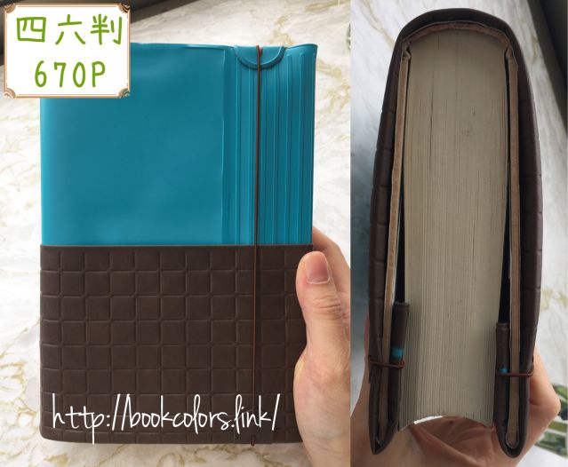 アマネカ ビビを四六版のブックカバーとして使った画像