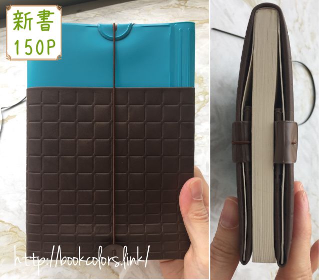 アマネカ ビビを新書のブックカバーとして使った画像